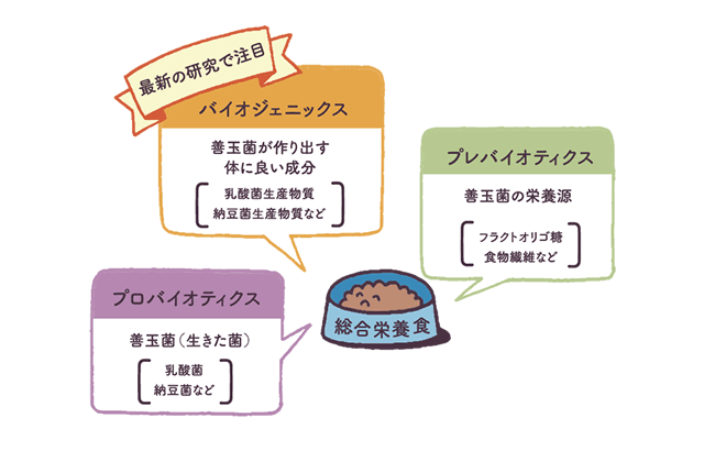 ワンちゃんの腸内フローラを整える機能性物質とは？ - 犬の食事と腸内